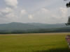 Cades Cove
